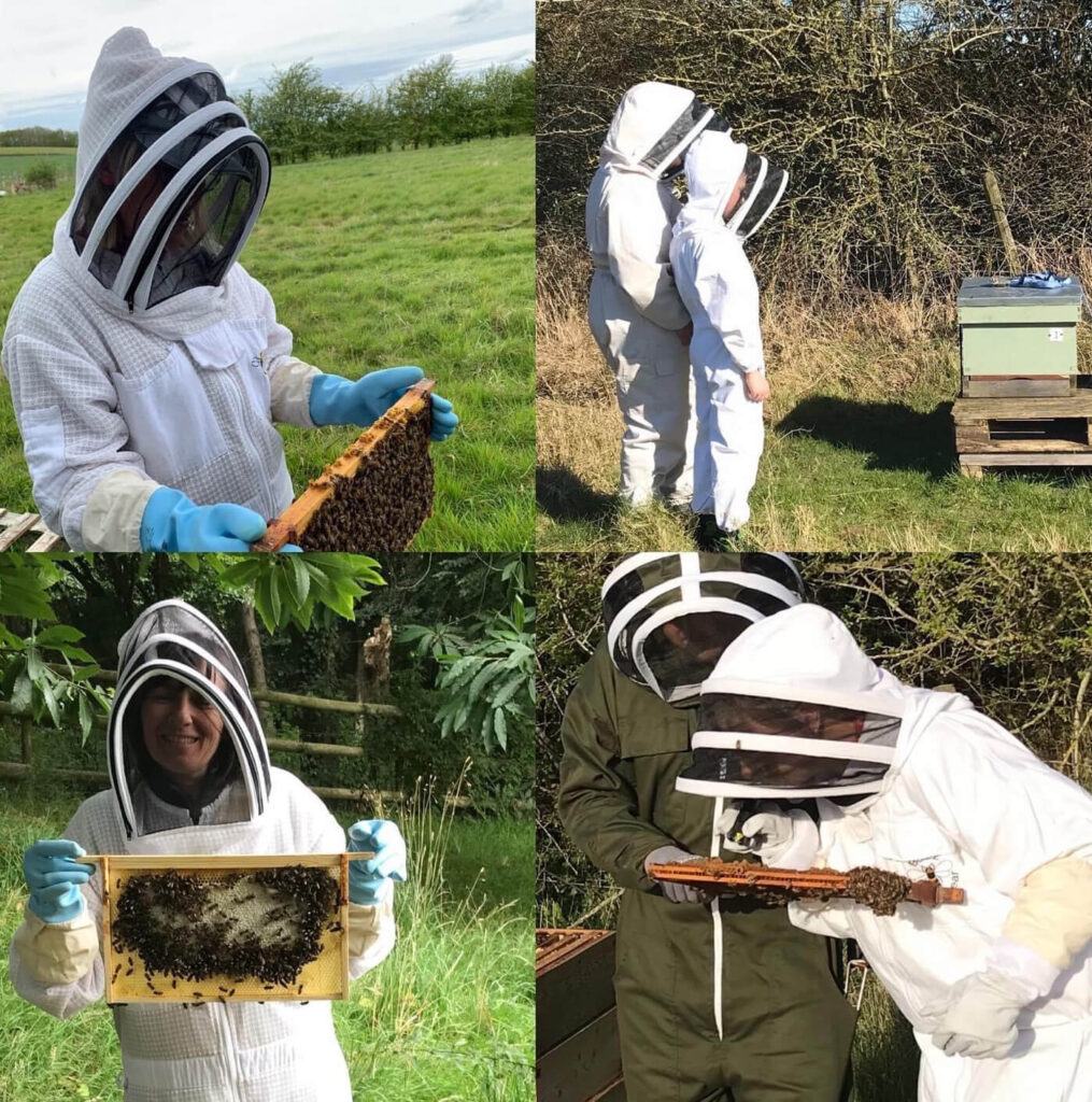 Beekeeping Experiences Merry May Honey